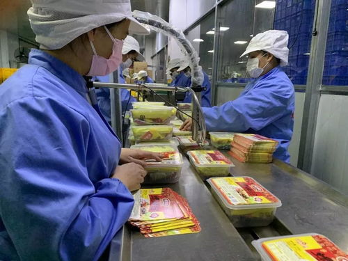 落實(shí)優(yōu)惠政策，拓展“非接觸式”辦稅，稅務(wù)部門(mén)多措并舉助力企業(yè)復(fù)工復(fù)產(chǎn)